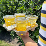 Four 12 oz plastic cups with flat lids, filled with lemon drinks with lemon slices and ice, in cardboard tray held by hand, bush in background